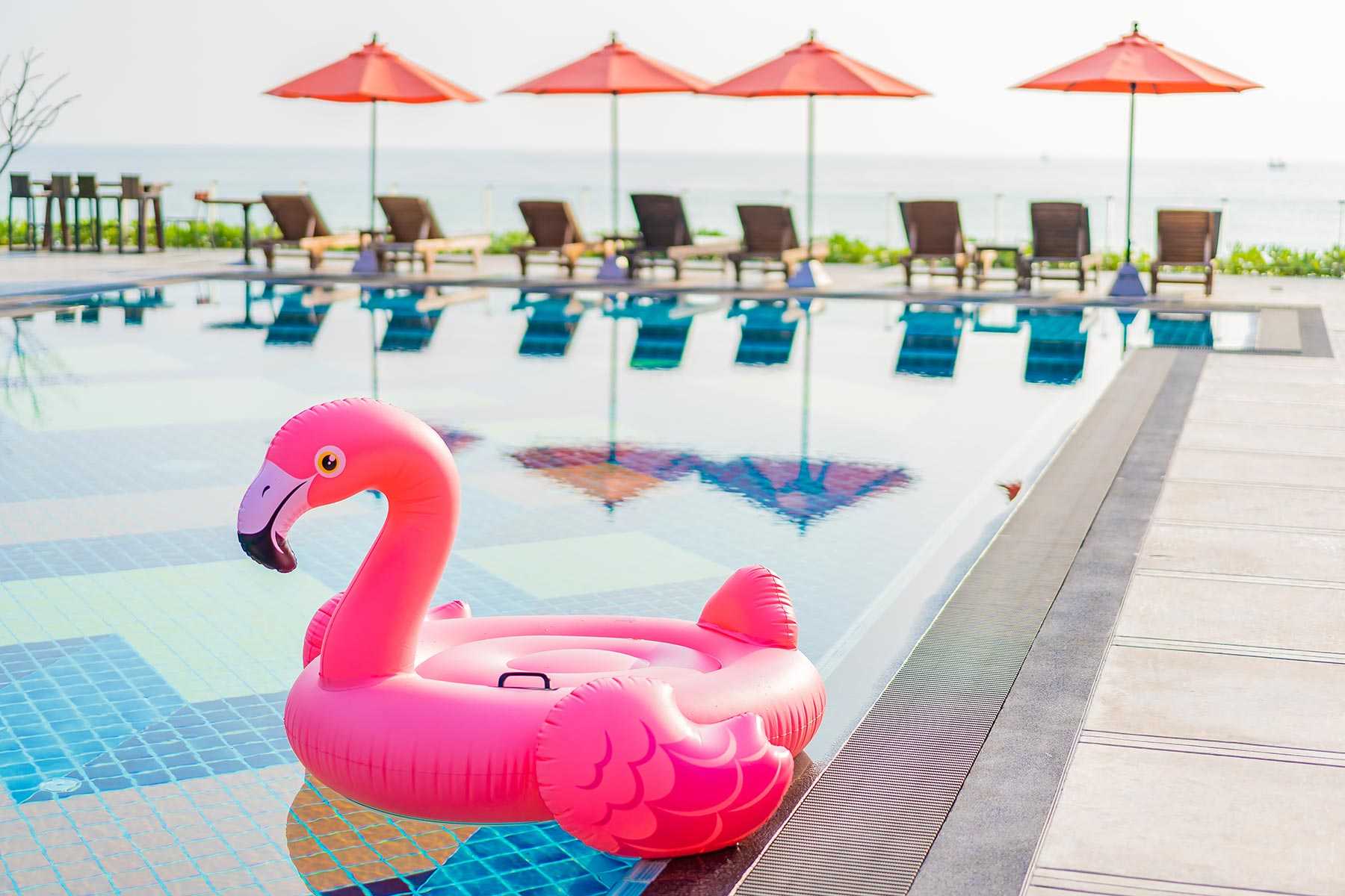 flamingo-float-around-swimming-pool-in-hotel-resor-8RE79VY.jpg
